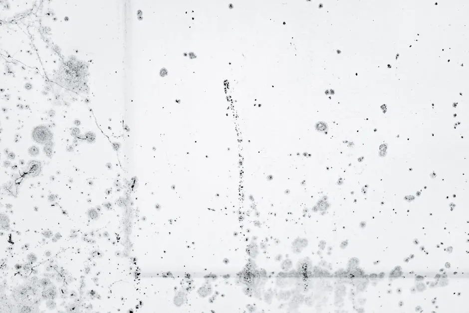 Experienced water damage restoration professionals at work