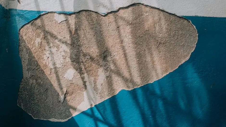 Quality Basement Water Damage Repair in bellingham